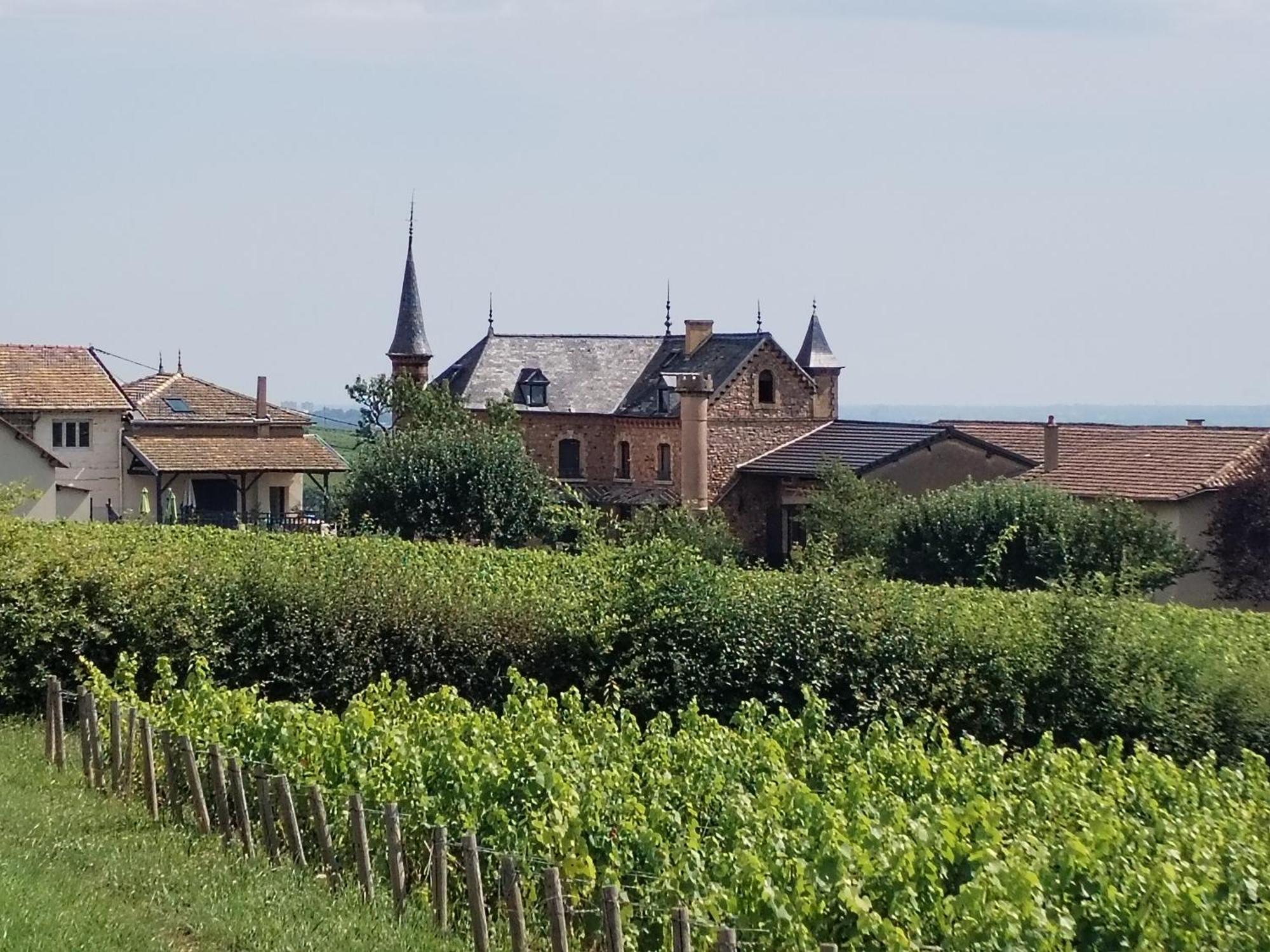 Le Petit Chateau De Sathonat - Horizon Paradis Saint-Amour-Bellevue Exteriér fotografie